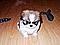 Avatar de cachorroblues